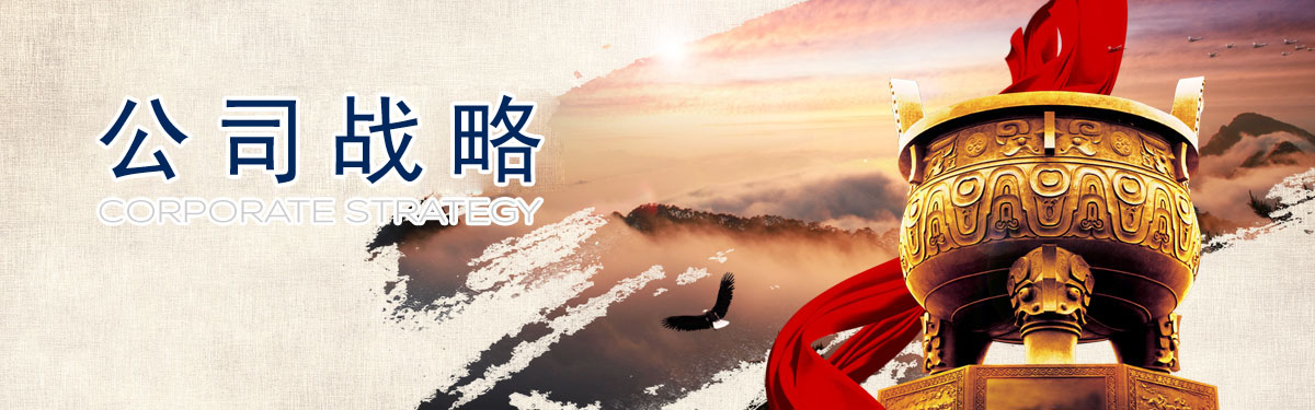 公司戰(zhàn)略